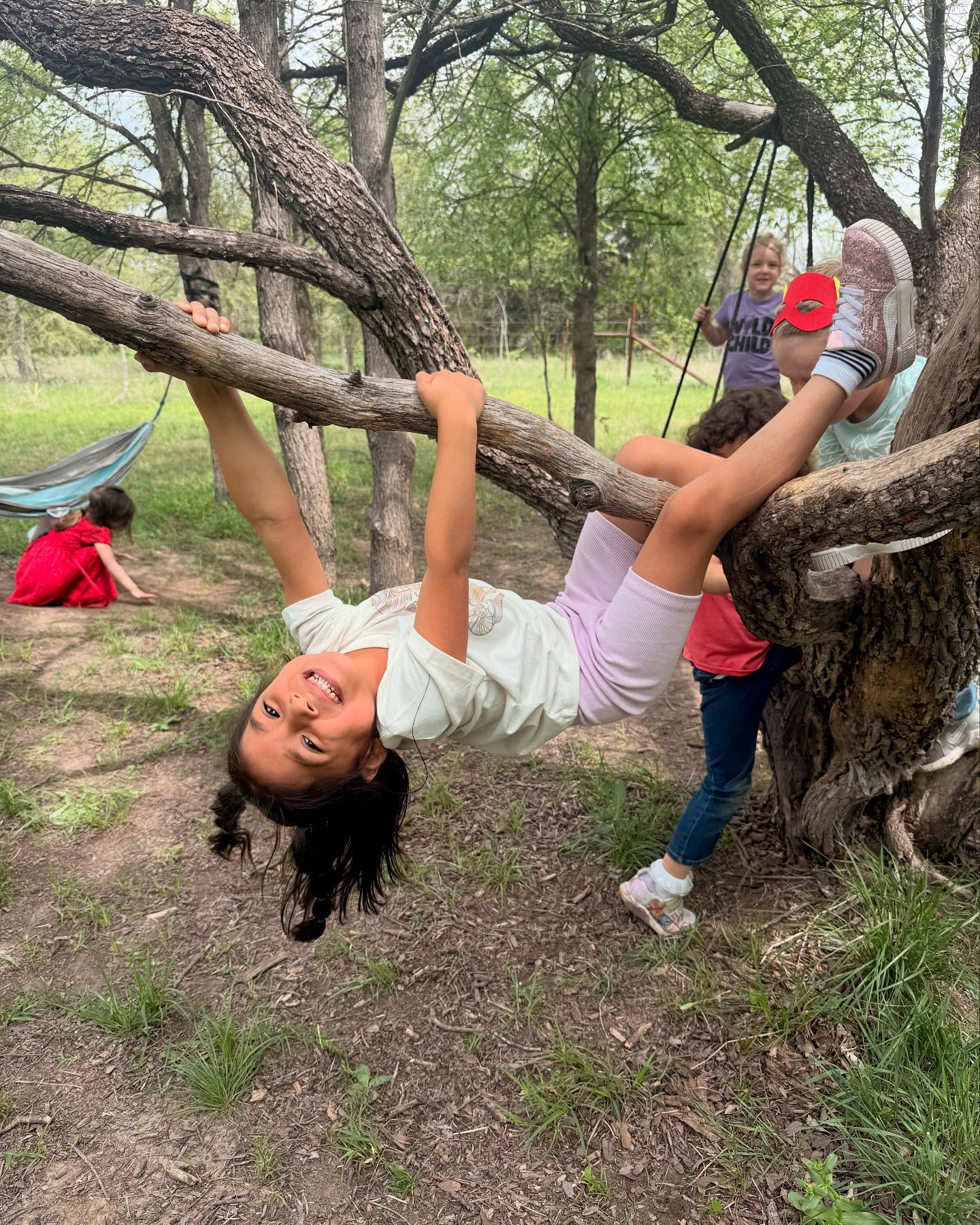 child playing on tree hanging from branch